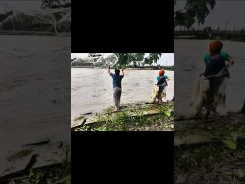 #জাল দিয়ে মাছ শিকার #fishing #fish #river #shorts #viralvideo #fyp #support #subscribe #bangladesh