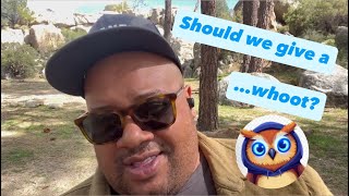 🤯Edwin Coin🦉 (AI Agents) Price Outlook: Bullish or Overhyped?