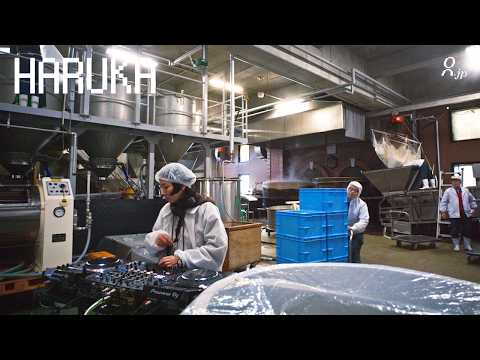 acid techno mix in Japanese sake brewery l Haruka l Login.jp l techno garage dance