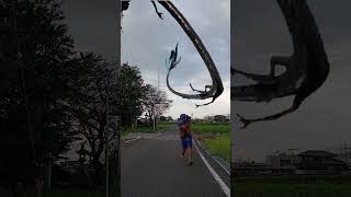 Dragon effects #funny #funnyeffect #comedy #comedymemes #animationeffects #memes #effects#funnymemes