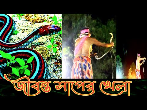 Shak Mela 2022 !! জিবন্ত সাপের খেলা !! হিন্দুদের খুব পুরনো একটি 76 বছরের পুরনো মেলা  !!!