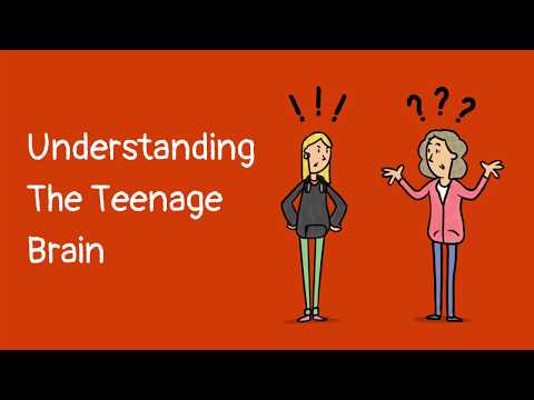 Understanding The Teenage Brain