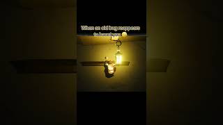 Returning bugs are the WORST