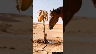 A Horse Grew a Mango Tree in The Desert #ai #fypシ゚viral #virlshort