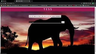 AI Chatbot using python and ML