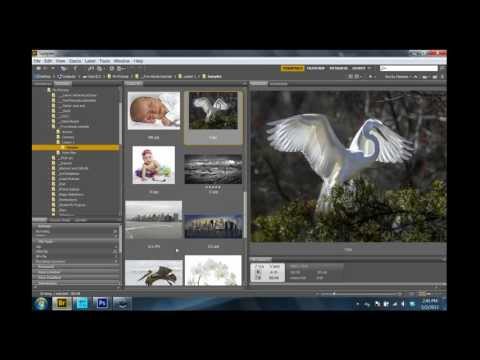 Five Minute Photoshop Tutorial #2: From Camera to Computer