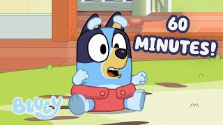 🔴LIVE: Run Your Own Race! 🏎️ | 60 MINUTES! | Cute and Outdoorsy Moments of Bluey & More! ⛅️ | Bluey