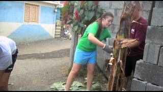 D.R.E.A.M.S. 2011