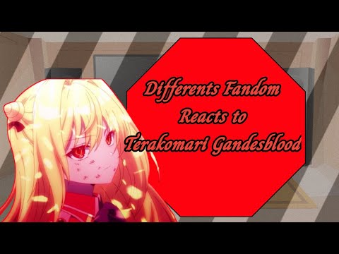 Differents Fandom React to Terakomari Gandesblood |The Vexations of Vampire Princess|