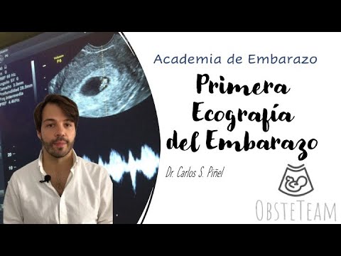 PRIMERA ECOGRAFÍA DEL EMBARAZO ¿Qué se ve?