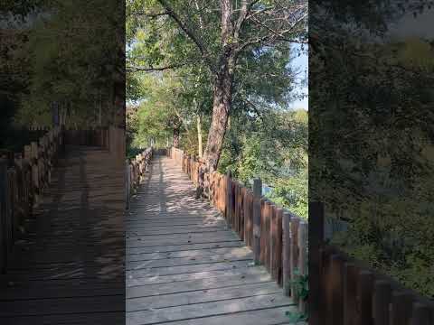 Bahar Gelmiş #şiir #doğa #yesil #yıldızkenter #keşfet #beniöneçıkart #istanbul #şiirdenparçalar