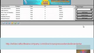 How to put icon and skin into the software video2