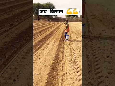 तरबूज की खेती की तैयारी।  #viral #farming #rajsthan #reels #trending #youtubeshorts #watermelon