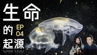 生命的起源：原來進化論才是神話？！｜科普信仰 EP04