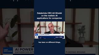 Databricks CEO Ali Ghodsi on the realistic AI applications