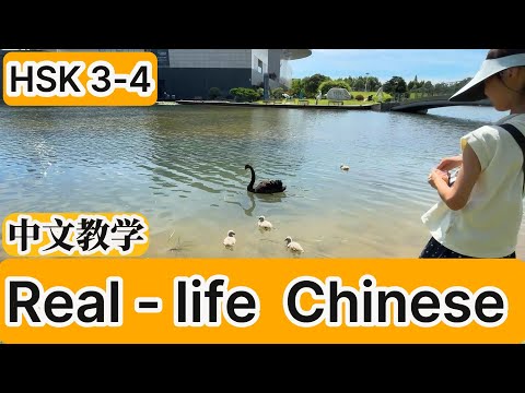 HSK3+|学中文参观美术馆|chinese |#china #chinese