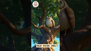 OLD WISE OWL !    ||          #epictales #kidsstories #storytime #disney #anime