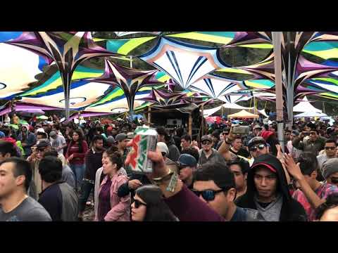 posion festival at Mexico 🇲🇽 November 2018