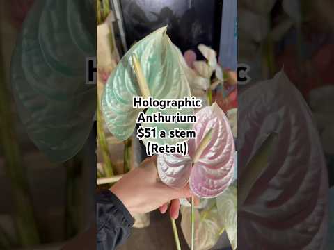 Here are the priciest luxury flowers you can buy at peak season—retail prices shown! #luxuryflowers