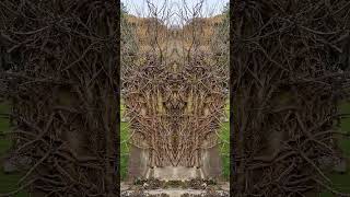 "When Nature Claims A Grave" #visualjourney #nature #visualserenity #meditationtechniques #amazing