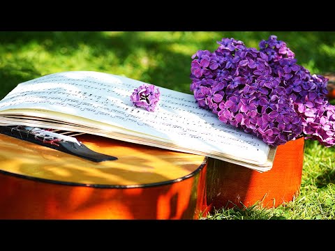 Relaxing Guitar Vibes | Beauty of Nature | VOL 2