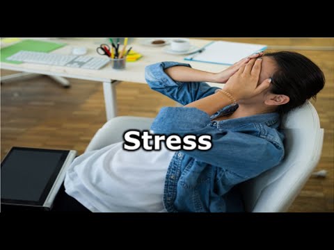 Stress Management