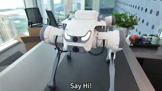 DeepRobotics Robot Dog Unboxing Experience 