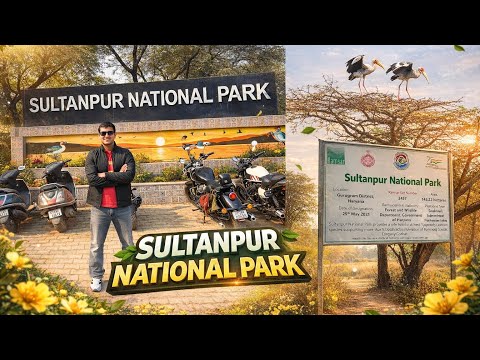 EXPLORING SULTANPUR NATIONAL PARK