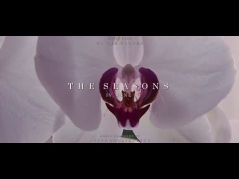 "To the Wonder" Soundtrack - The Seasons, Op.37b: IV. June