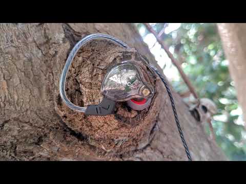 FONGE X2 (AKA WECOOL 3.5mm W014) IEM  REVIEW -NOT BAD AT ALL!