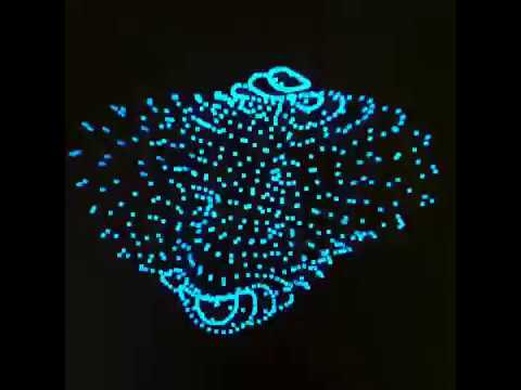 II