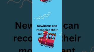 #sciencefactsforkids #kidseducation #facts #factsandopinionsforkids #curiosityforkids