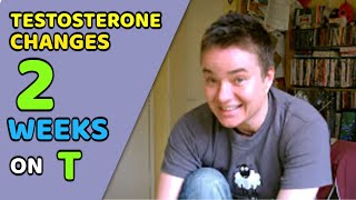 2 Weeks On Testosterone | Early Emotional Changes (FTM)