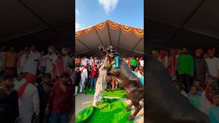 Laddu yadav sadar 2024 |  liffting Bull With Hands 😱 #sadar #bull #shorts #folksong #yadav