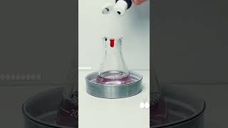 #STEMSCIENCE-EXPERIMENTS👨‍🔬