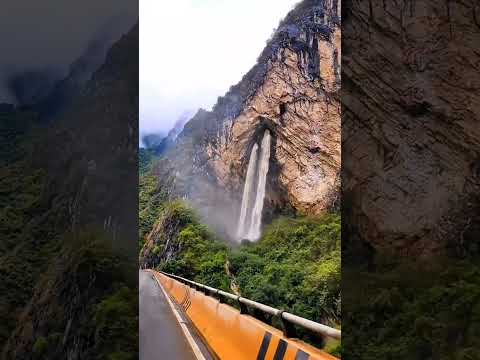 #Nature  #NatureLovers  #NaturePhotography  #Wildlife  #NatureWalk  #NatureVideo  #MotherNature