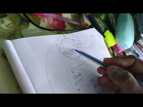 Simple Interest 1