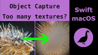 Apple's Object Capture Photogrammetry with a pufferfish?