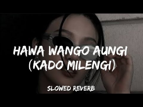 Hawa Wangu Aaungi (Slowed Reverb) | Kadon Milengi