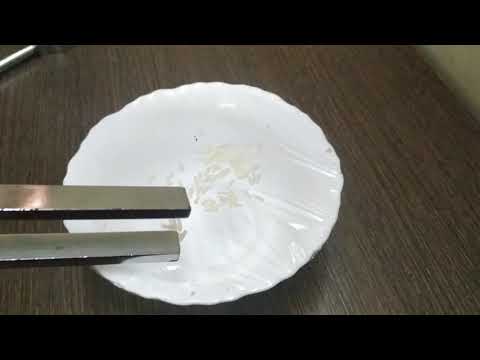 Sound ACTIVITY of Dancing Rice