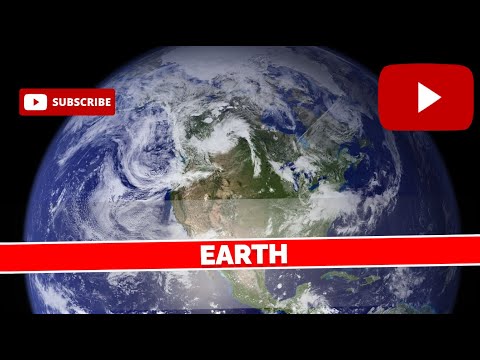 #A Day in the Life of Earth's Ecosystems: Nature in Action#