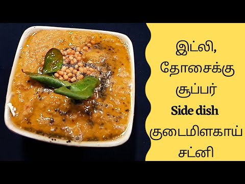 capsicum chutney in tamil/Side dish for night dinner/குடைமிளகாய் சட்னி/chutney recipes/CookingHarini