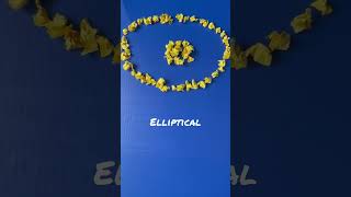 Epic Science Galaxy Project: What did James Webb Telescope See???!!