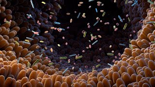 Gut Microbiome Research