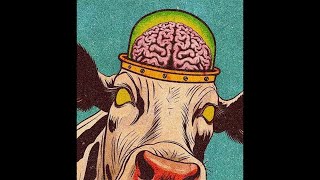 [FREE] "ENERGY" - Funky Hip Hop & Rap Beat | Hard & Soulful 90s Boom Bap Beat