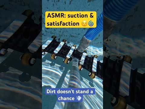 Just me, my #osmoaction4 and my vac, #ASMR mode ON 🎧 #poolcleaning #poolvacuum #satisfyingcleaning