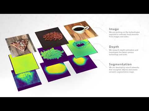 Food Recognition and Nutrition Intelligence Platform