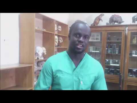 Male Nurse Strives to Become a Doctor (Godwin Agyemang from Ghana)