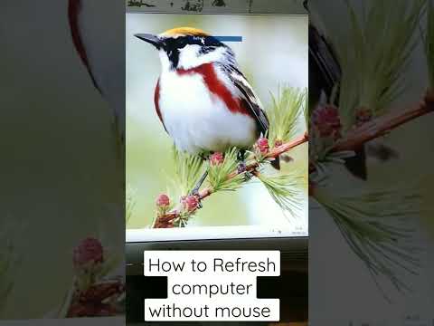 How to Refresh Computer or laptop without mouse #01 #shorttrick #short