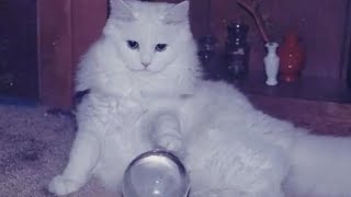 ִֶָ☾. Delicious early Witch House music playlist Pt. 1 ♫⋆｡♪